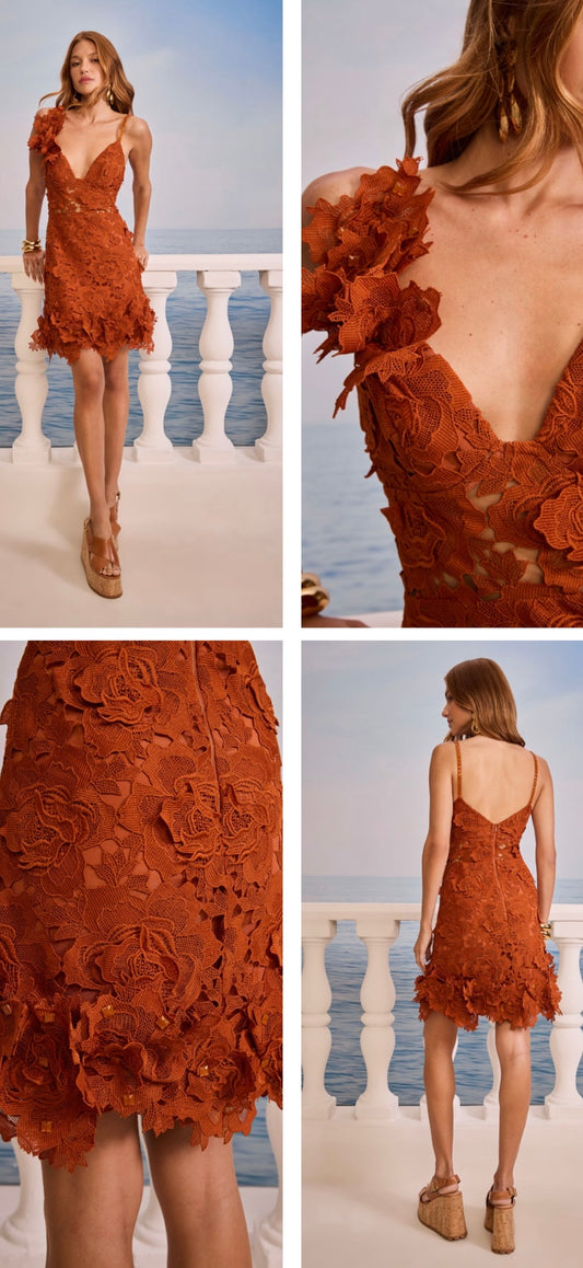 SK - Rust Lace Mini Dress with 3D Florals